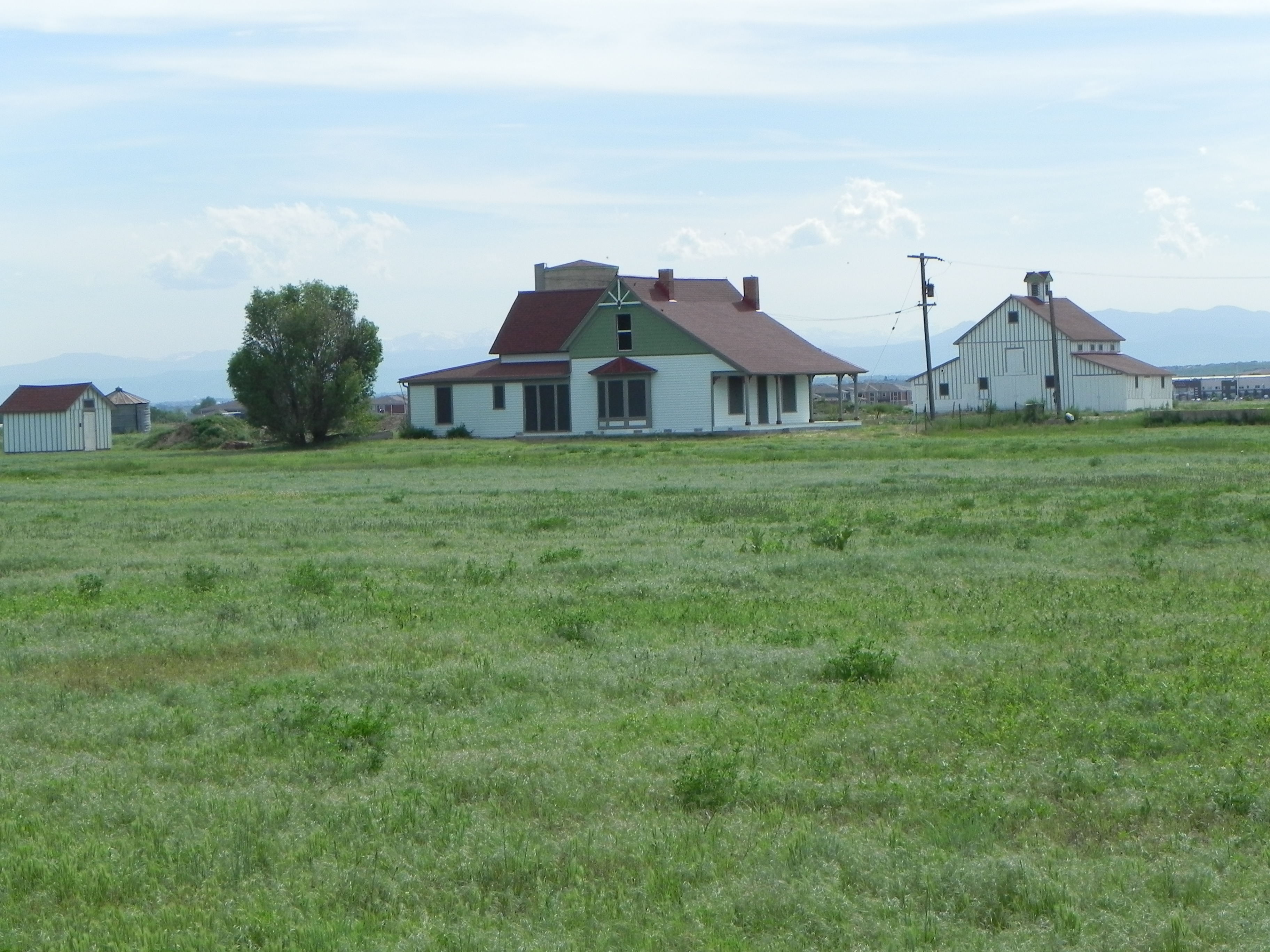 Bromley Hishinuma Farm (94)